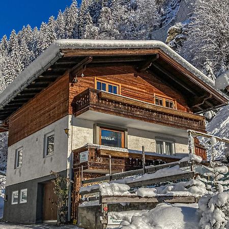 Apartment Leiter Bramberg am Wildkogel Zewnętrze zdjęcie